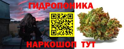 кокс Можайск