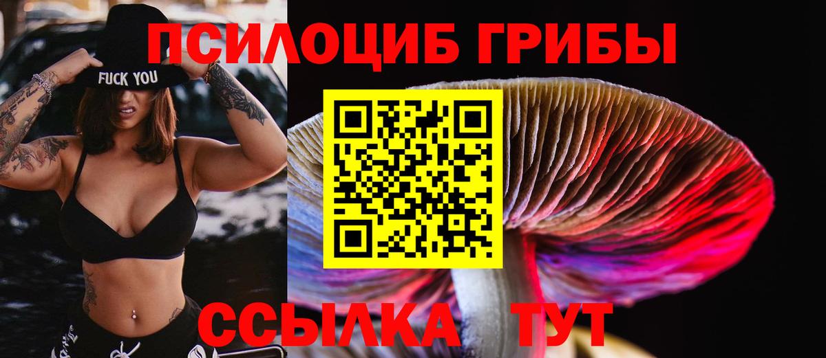 Галлюциногенные грибы Psilocybe  Вход с VPN  Элиста 